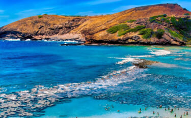 2100年までにほぼ全ての「サンゴ礁」が成長不能になる？ 沿岸の浸水リ…