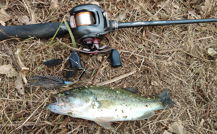 メジャーフィールド「紀の川」でバスフィッシング堪能【和歌山】50cm級バスを狙い撃つ！