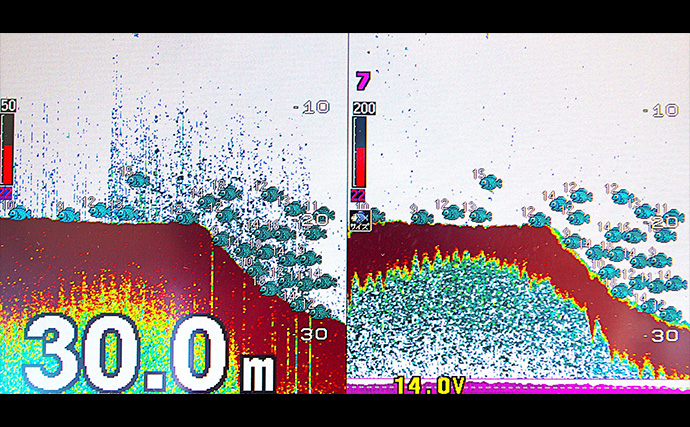 「明石沖に青物が戻ってきた！」ボートジギングで久々のハマチと対面【兵庫】