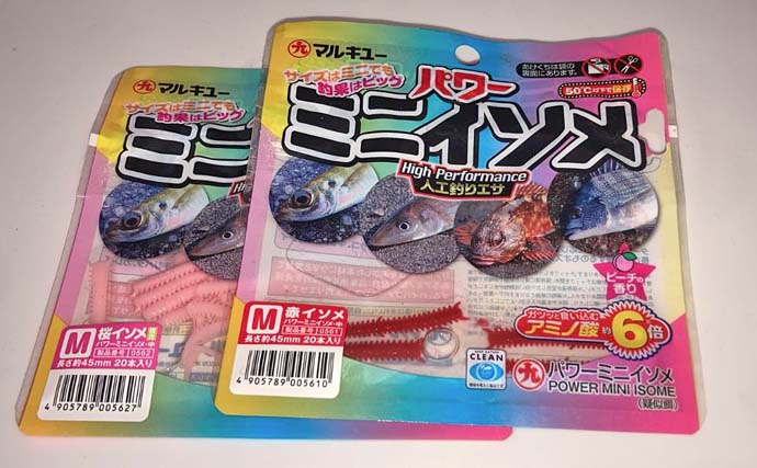 赤須賀漁港のちょい投げ釣りでハゼ20匹を手中【三重】パワーミニイソメに好反応