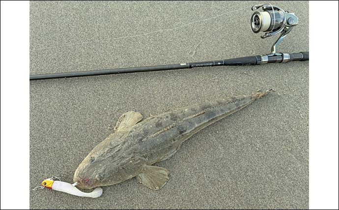 サーフルアーフィッシングで55cm良型マゴチをキャッチ【豊橋】地形読み＆ルアーローテが決め手