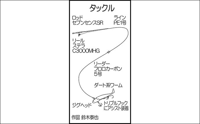 志賀島の陸っぱりワインドゲームでタチウオ連発の6尾達成【福岡】朝マズメの短い時合いに炸裂