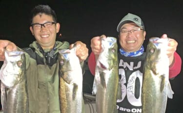 サワラキャスティングでサゴシ5連発！【三重】ナイトボートシーバスでは6…