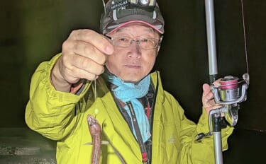 大野海岸周辺の投げ釣りで40cm級アナゴ3匹キャッチ【愛知】海藻消失で…