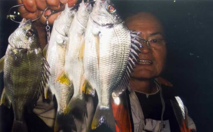 霞ヶ浦ふ頭周辺のブッコミ釣りでキビレ＆コトヒキ連発！【三重】新ポイント開拓に成功