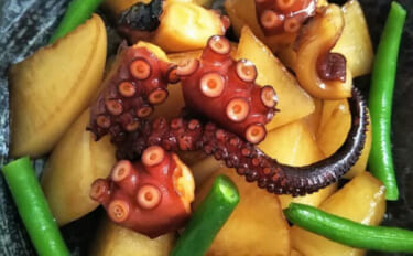 栄養士おすすめの【タウリンが豊富な魚介類】　栄養を逃さない調理のコツと…