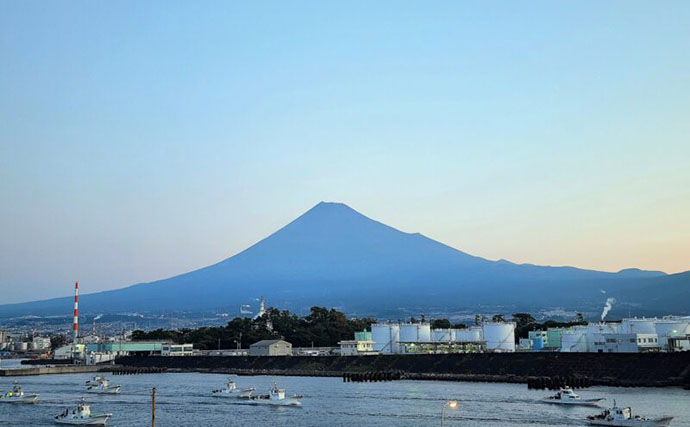 「シラス」と「ちりめんじゃこ」は何が違う？　それぞれの味わいと活用方法を紹介