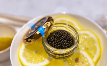 投薬で性転換させたチョウザメからキャビアの採取が可能に！ 雄の廃棄ゼロ…