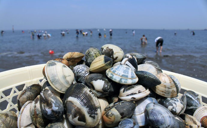 栄養士おすすめの【タウリンが豊富な魚介類】　栄養を逃さない調理のコツとは？