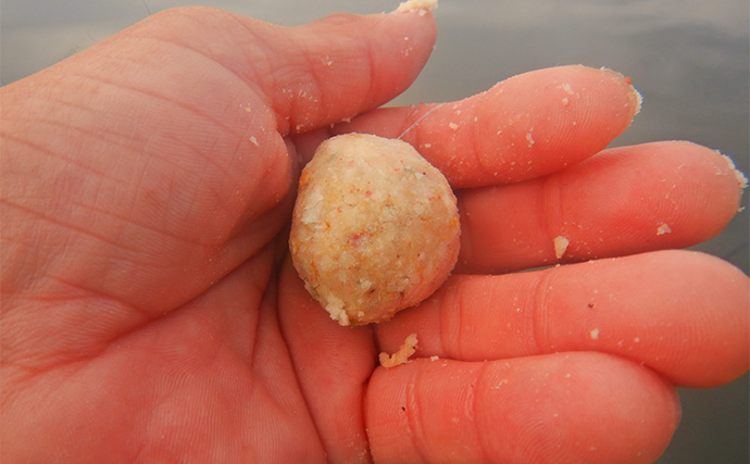 淡水五目釣りで91cm大型ゴイを手中【常陸利根川】ダントウボウとアメナマは連発