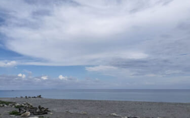 ＜アオザメ＞の驚くべき体温調節能力が明らかに　低水温の深海に潜る前に体…