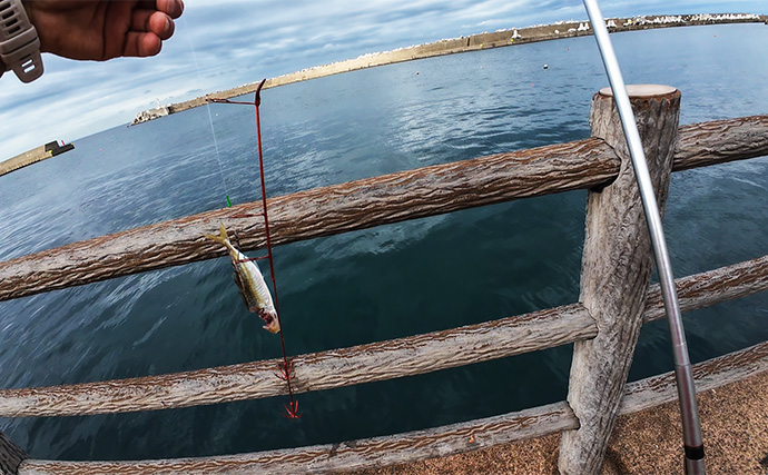 ヤエン釣り入門＆ステップアップしたいなら秋が断然オススメなワケ