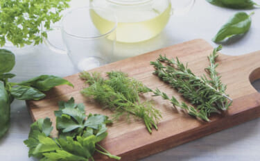 魚とハーブの組み合わせで魚料理がグッと美味しくなる？　＜おすすめハーブ…