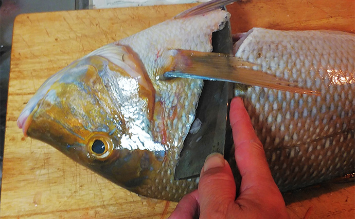 釣魚で作る「食品ロス削減」レシピ：タバメ腹骨の塩焼き　デカいほど美味い！