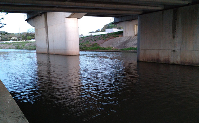 隣の人は釣れているのに自分だけが釣れない不思議　腕だけじゃない3つの理由とは？