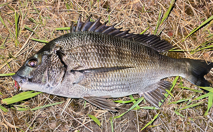 「スモールルアーの可能性は無限大！」小型ルアーでセイゴやフッコの数釣りを楽しもう