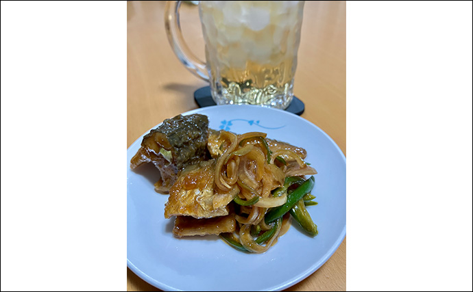 夕マヅメのサビキ釣りで小アジ23匹【大阪南港魚つり園】小型でも脂乗りはバッチリ！