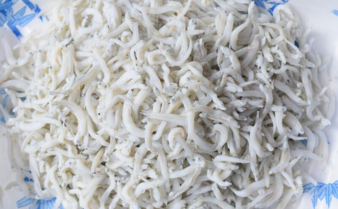 「シラス」と「ちりめんじゃこ」は何が違う？　それぞれの味わいと活用方法を紹介