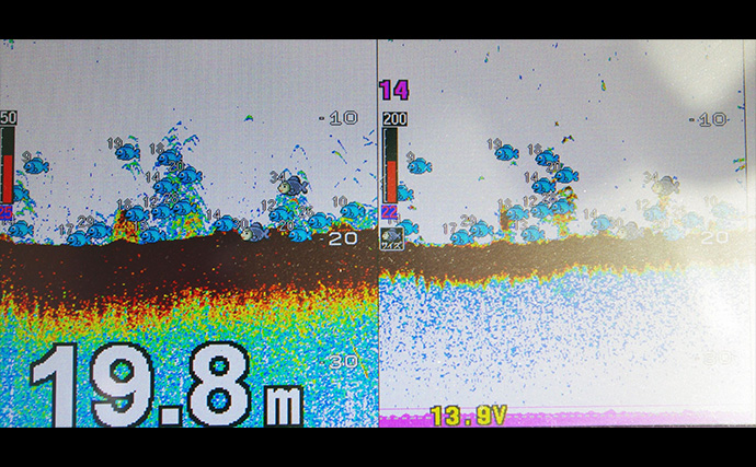 「サビキとタイラバどっちが好み？」疎遠だったタイラバ釣行でマダイにキビレ【兵庫】