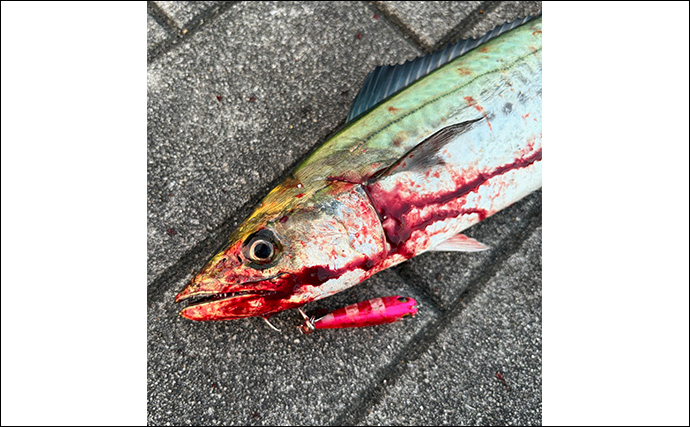 1年を通して陸っぱり釣りを楽しむ方法 【季節ごとのターゲットと真夏＆真冬の過ごし方】