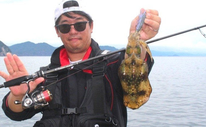 「エギングのロッド選びはややこしい？」シーズン×フィールドごとの課題に合わせてみよう