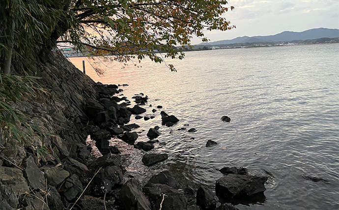 浜名湖ルアーフィッシングで37cmキビレをキャッチ！ ダイソースプーンただ巻きにヒット