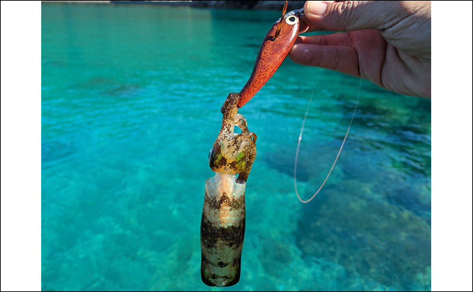 ラン＆ガンルアーゲームで6魚種＆良型ガシラ27cmを手中【三重】根魚30匹超えの充実釣果に