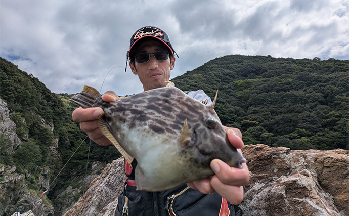 磯でのエギング＆フカセ釣りを堪能【大分・米水津】アオリにグレに大型カワハギでお土産十分