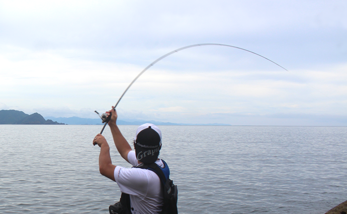 「エギングのロッド選びはややこしい？」シーズン×フィールドごとの課題に合わせてみよう