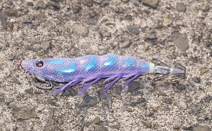 「まさにエギングパラダイス！」DUELのエギ4種を駆使して良型アオリイカ捕獲成功【天草】