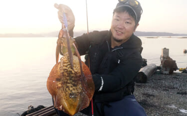 Slider 121619 – image