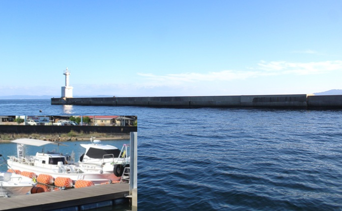 「エギングのロッド選びはややこしい？」シーズン×フィールドごとの課題に合わせてみよう