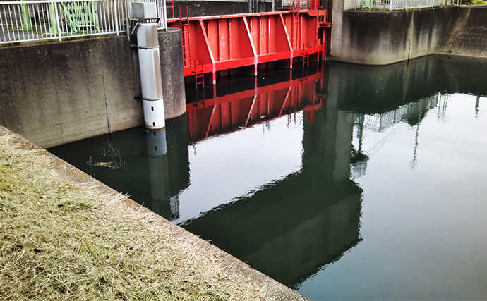 「スモールルアーの可能性は無限大！」小型ルアーでセイゴやフッコの数釣りを楽しもう