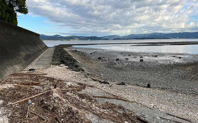 浜名湖ルアーフィッシングで37cmキビレをキャッチ！ ダイソースプーンただ巻きにヒット