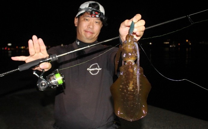 「エギングのロッド選びはややこしい？」シーズン×フィールドごとの課題に合わせてみよう