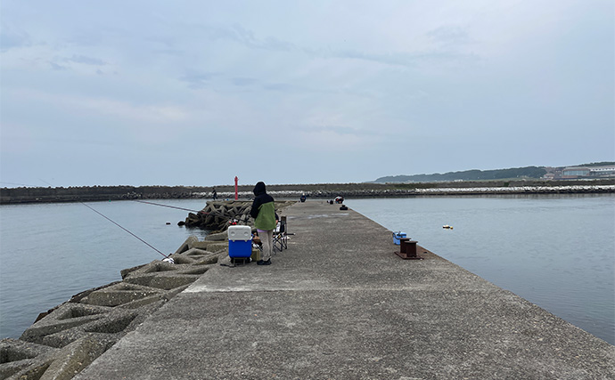 「超」釣り初心者が実際にした失敗3選　欲張りすぎは釣れない＆楽しくないかも