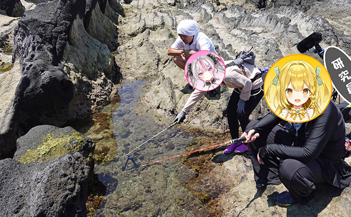 VTuber『うおむすめ』が磯採集に挑戦！ タイドプールの見釣りで小魚連発に大喜び