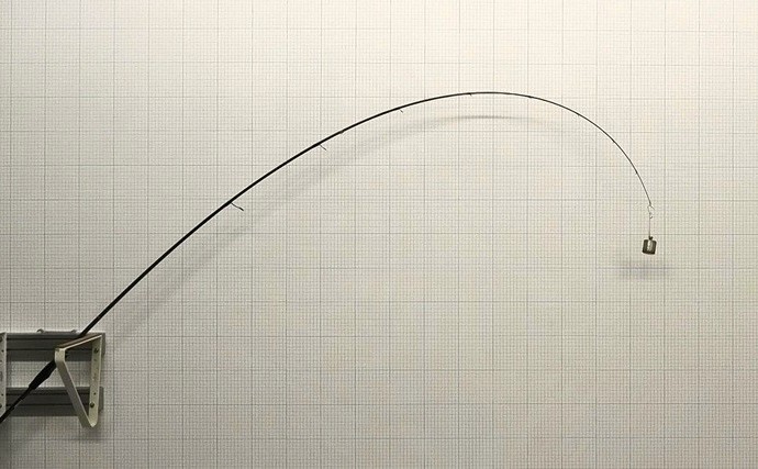 「エギングのロッド選びはややこしい？」シーズン×フィールドごとの課題に合わせてみよう