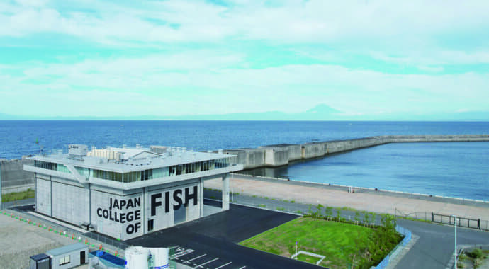 釣りを仕事にするチャンス？　日本さかな専門学校が＜さかなの講師＞募集説明会を開催