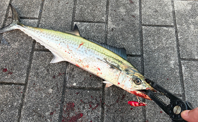 「2025年もあとわずか」 ルアー釣り愛好家が今年の釣り目標を振り返ってみた