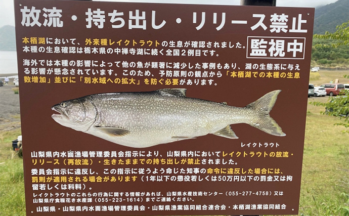 「外来魚を釣って食べて減らす？」 注目の【本栖湖レイクトラウト釣り大会】開催までは山あり谷あり