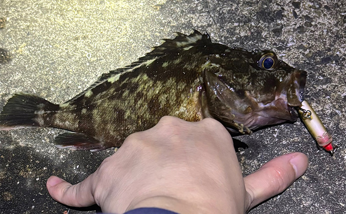 11月〜1月の陸っぱりルアー釣りは「ライトゲーム」がオススメ