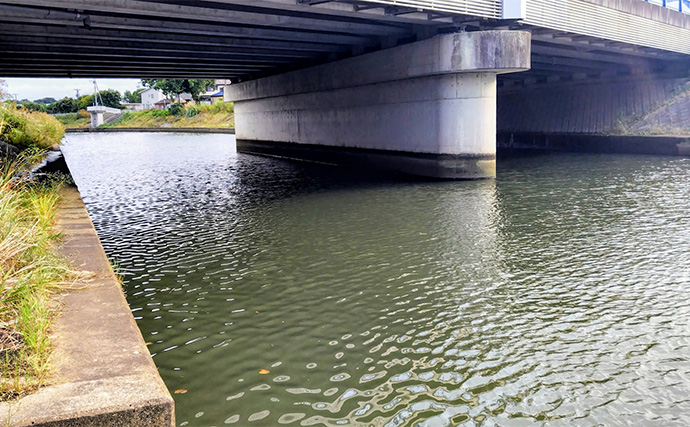 「食わないボイルが多発！」 バイブレーション早巻きで50cm超えクロダイ浮上