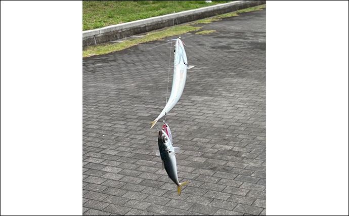 ショアジギで【フックにティンセルをつける意味】 ヨレヨレのまま使用はダメ？