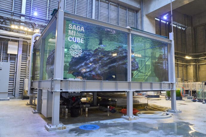 釣りを仕事にするチャンス？　日本さかな専門学校が＜さかなの講師＞募集説明会を開催