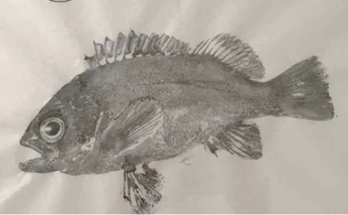 「魚拓といえば墨！」はもう古い？　デジタル魚拓のメリットとおすすめサービスを紹介