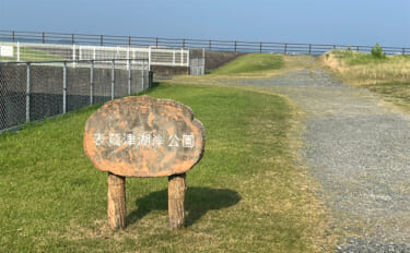 人気釣りフィールド「浜名湖」の不人気ポイント【表鷲津湖岸公園】はマゴチ…