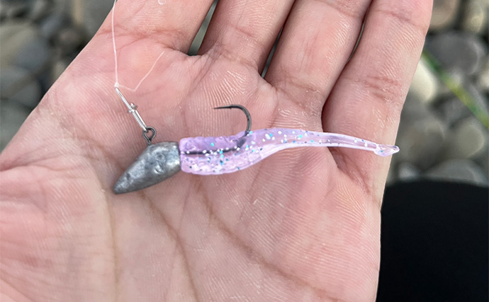 秋のメッキゲームで良型が入れ食い！【和歌山・南紀白浜】ミノー＆ボトムワインドに好反応