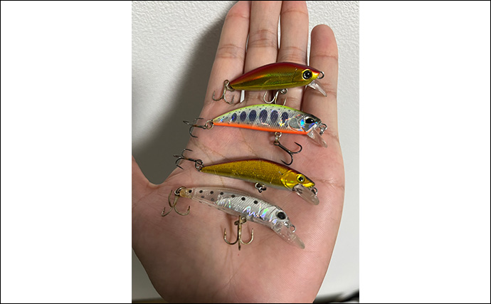 秋のメッキゲームで良型が入れ食い！【和歌山・南紀白浜】ミノー＆ボトムワインドに好反応