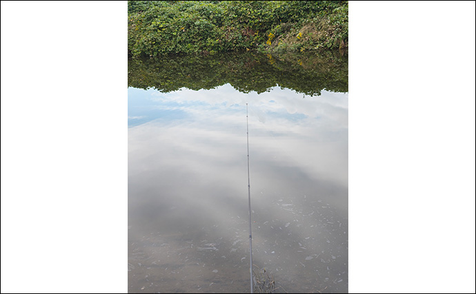 再オープン直後の『日本ラインマス釣り場』で終了間際に覚醒モード到来！【岐阜】